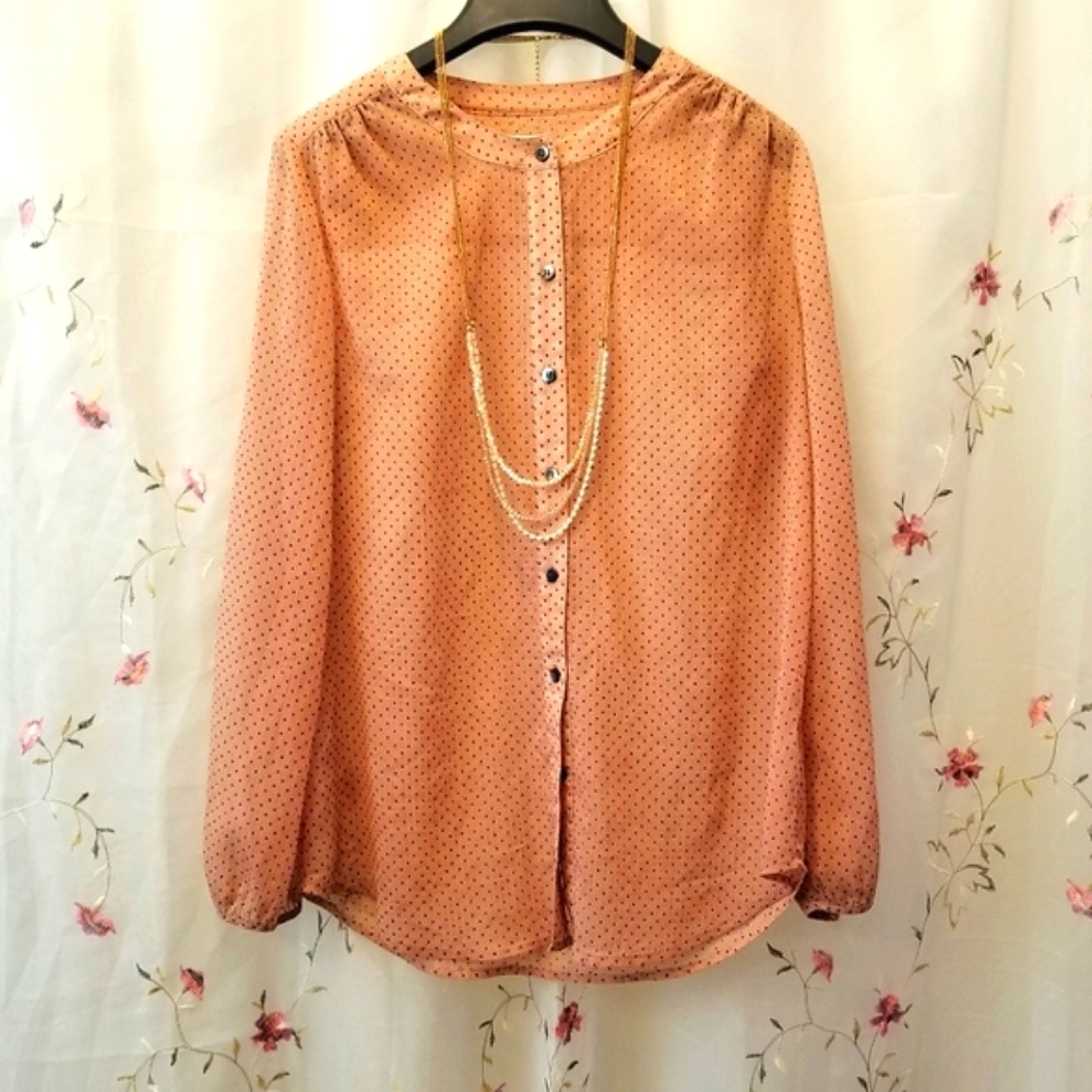 SPECIAL! 3/$12 Broadway & Broome Sheer Blouse